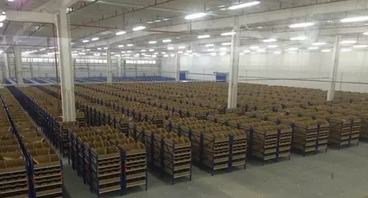 從無人工廠到無人港：機器人自動化設備的擴張