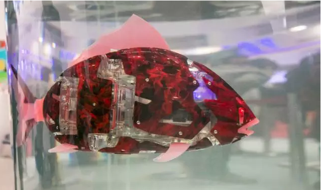 天價(jià)魚”亮相機(jī)器人大會(huì) 身價(jià)十幾萬
